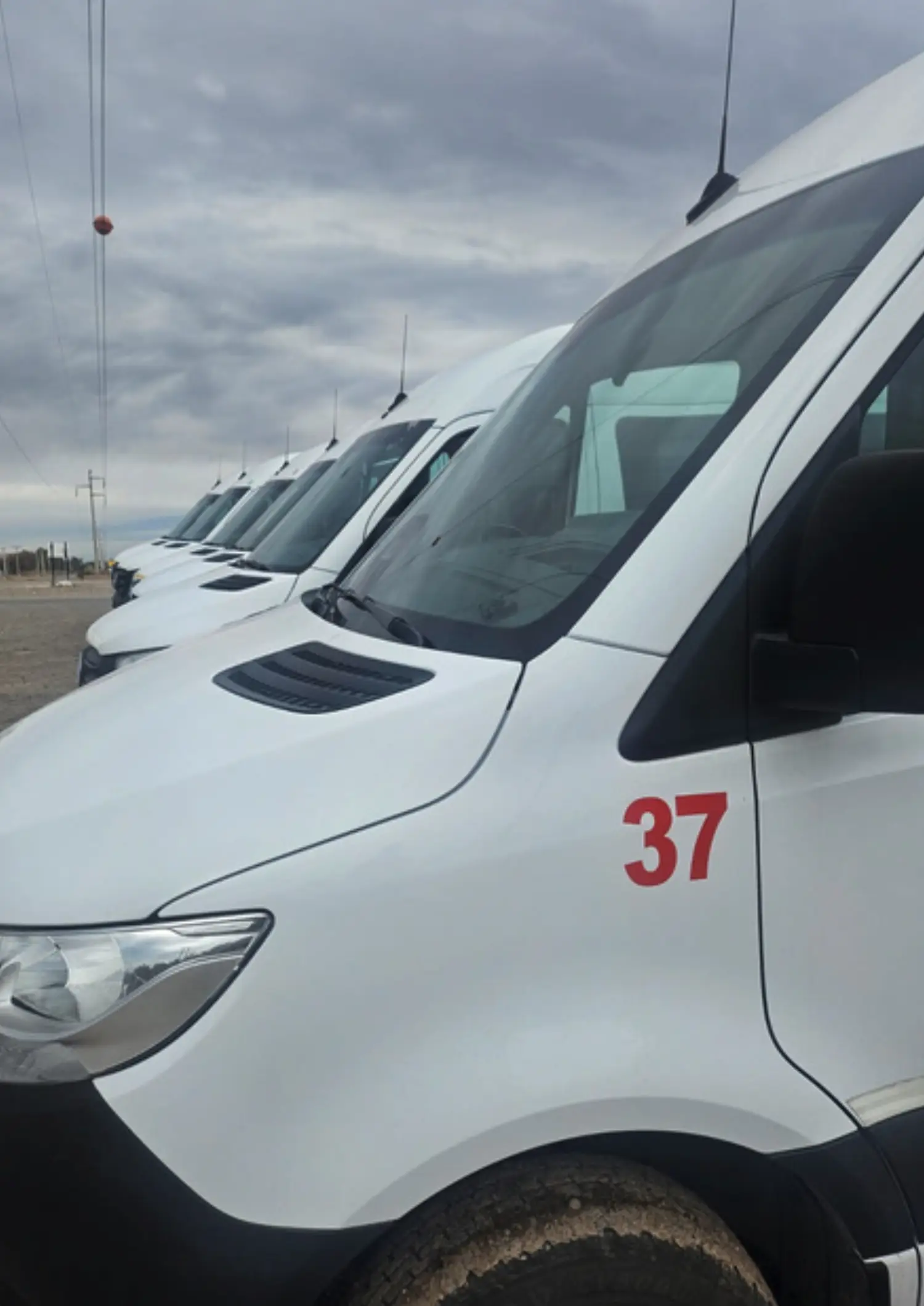 Servicios
